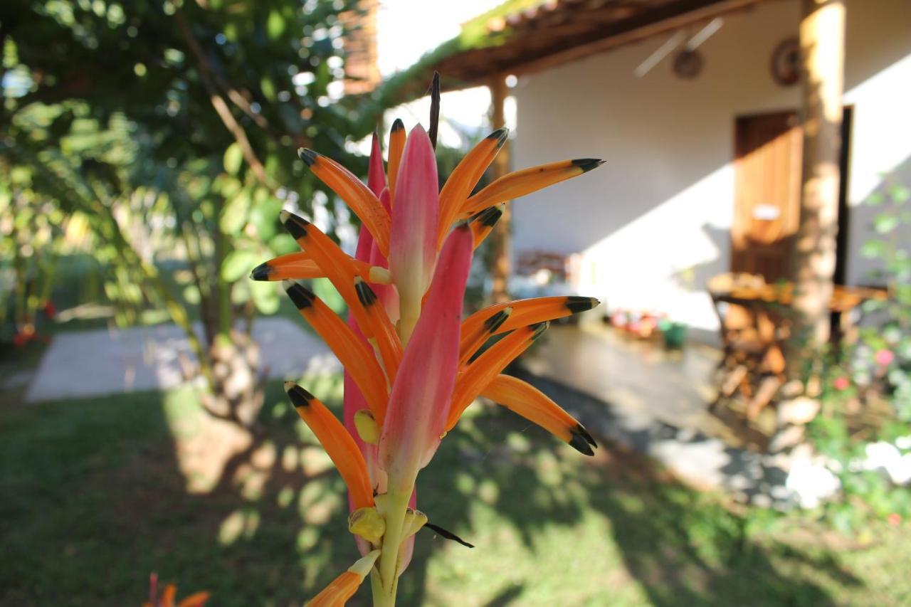 Family Guest House Velha Boipeba Bagian luar foto