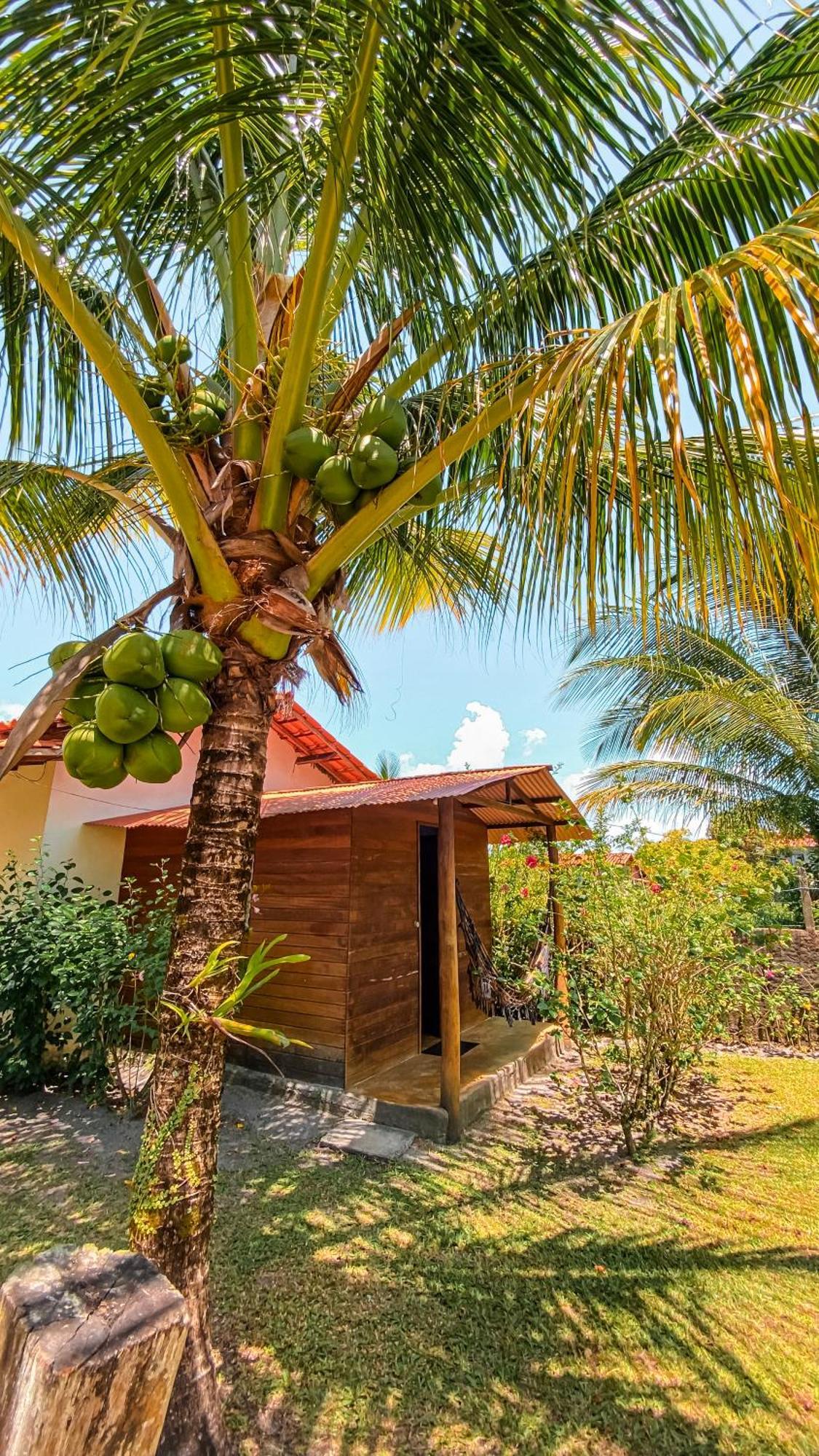 Family Guest House Velha Boipeba Bagian luar foto